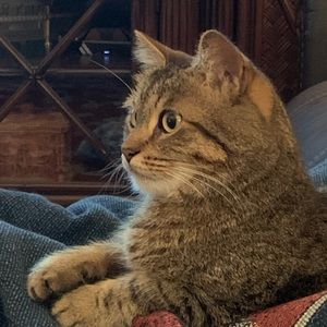 Meet your Posher Elisa